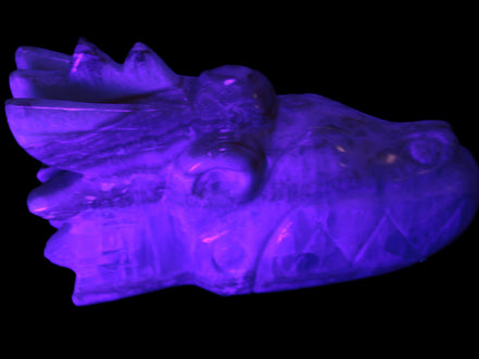 Caribbean Calcite hand-carved dragon's head 770g
