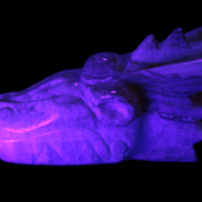 Caribbean Calcite hand-carved dragon's head 770g