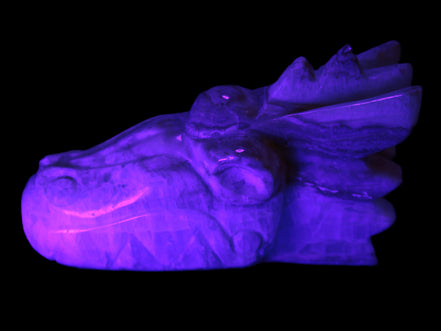 Caribbean Calcite hand-carved dragon's head 770g