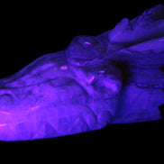 Caribbean Calcite hand-carved dragon's head 770g