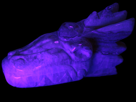 Caribbean Calcite hand-carved dragon's head 770g