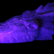 Caribbean Calcite hand-carved dragon's head 770g