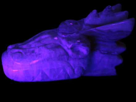 Caribbean Calcite hand-carved dragon's head 770g