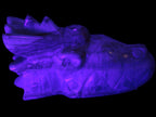 Caribbean Calcite hand-carved dragon's head 770g