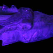 Caribbean Calcite hand-carved dragon's head 770g