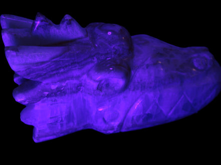 Caribbean Calcite hand-carved dragon's head 770g