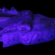 Caribbean Calcite hand-carved dragon's head 770g