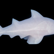 Mangano Calcite hand-carved shark 687g Rocks and Things