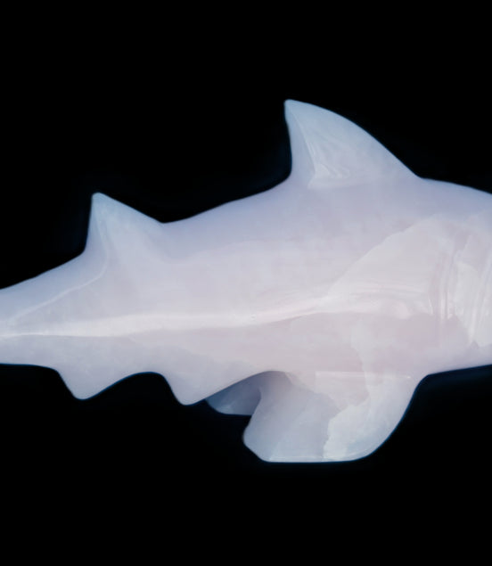 Mangano Calcite hand-carved shark 687g Rocks and Things