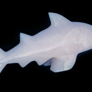 Mangano Calcite hand-carved shark 687g Rocks and Things