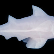 Mangano Calcite hand-carved shark 687g Rocks and Things