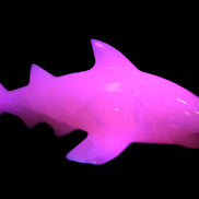 Mangano Calcite hand-carved shark 687g Rocks and Things