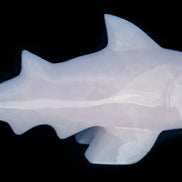 Mangano Calcite hand-carved shark 687g Rocks and Things