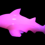 Mangano Calcite hand-carved shark 687g Rocks and Things