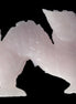 Mangano Calcite hand-carved Dragon 952g Rocks and Things