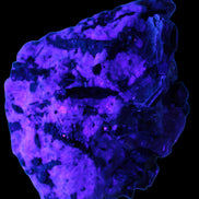 Black Tourmaline crystals massed with amazing Lepidolite sandwiches and Muscovite clusters in Feldspar matrix 800g in UV light - Rocks and Things Store
