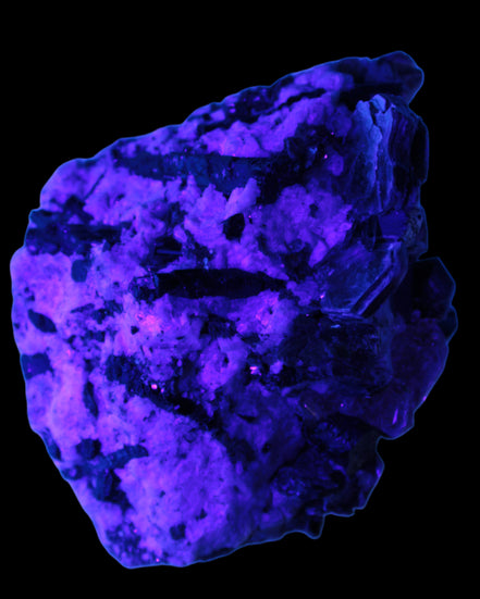 Black Tourmaline crystals massed with amazing Lepidolite sandwiches and Muscovite clusters in Feldspar matrix 800g in UV light - Rocks and Things Store
