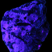 Black Tourmaline crystals massed with amazing Lepidolite sandwiches and Muscovite clusters in Feldspar matrix 800g in UV light - Rocks and Things Store
