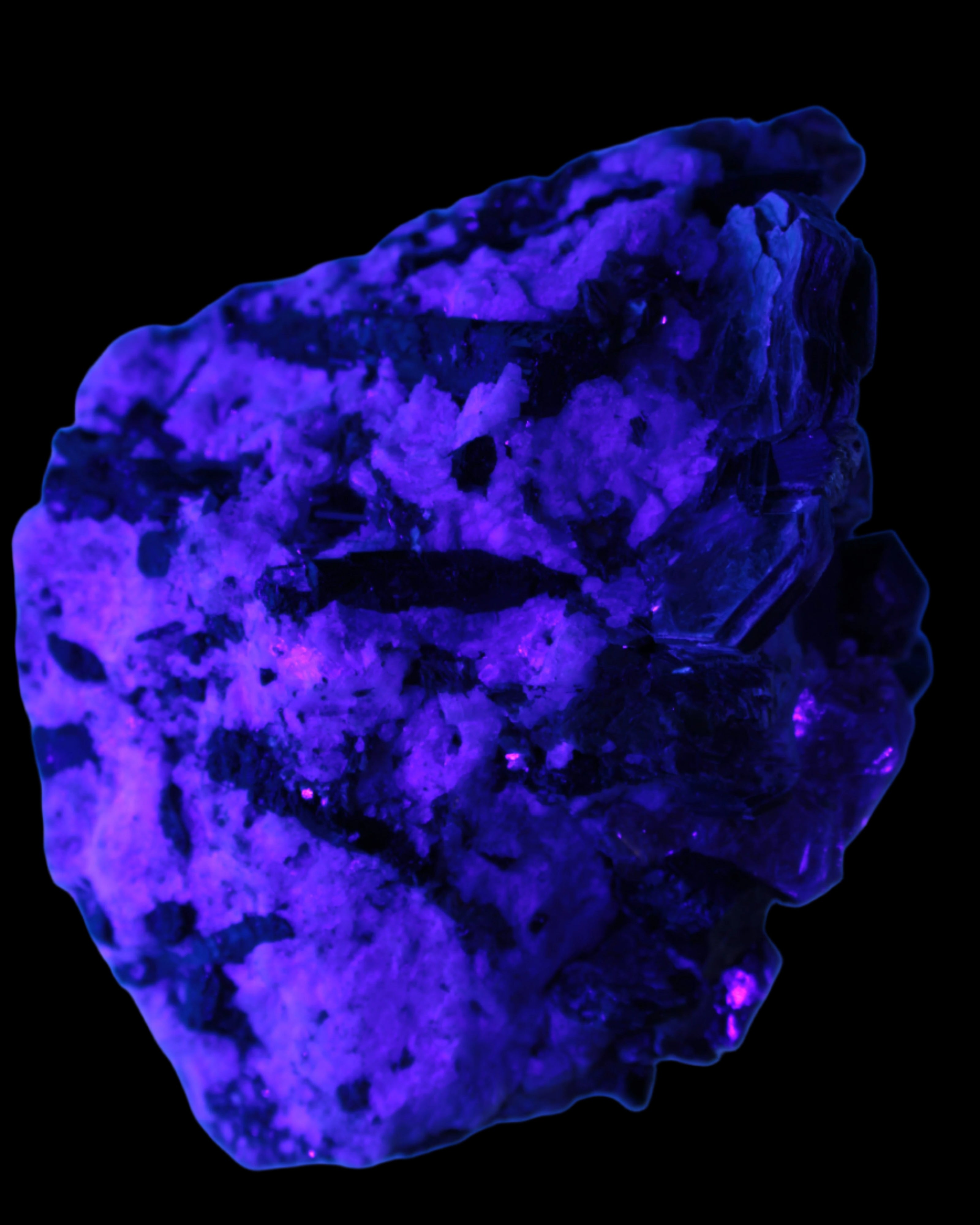 Black Tourmaline crystals massed with amazing Lepidolite sandwiches and Muscovite clusters in Feldspar matrix 800g in UV light - Rocks and Things Store