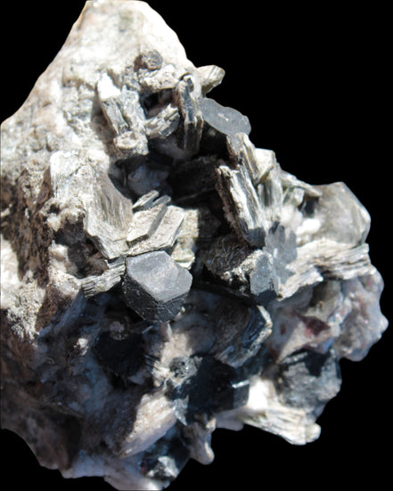 Black Tourmaline crystals massed with amazing Lepidolite sandwiches and Muscovite clusters in Feldspar matrix 800g in sunlight - Rocks and Things Store