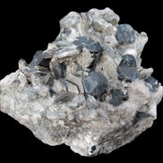 Black Tourmaline crystals massed with amazing Lepidolite sandwiches and Muscovite clusters in Feldspar matrix 800g in sunlight - Rocks and Things Store