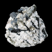 Black Tourmaline crystals massed with amazing Lepidolite sandwiches and Muscovite clusters in Feldspar matrix 800g in sunlight - Rocks and Things Store