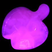 Mangano Calcite hand-carved apple 50-59g in UV light - Rocks and Things Store