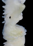 Mermaid hand-carved White Jade 320mm 3900g Rocks and Things