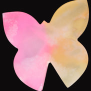 Pink and yellow Butterfly hand-carved in dyed Calcite from Pakistan 106*15*106mm 276g in sunshine - Rocks and Things Store