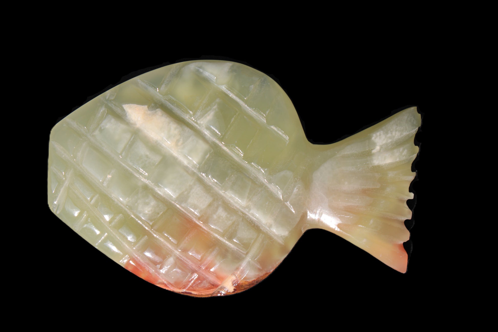 Afghan Jade Fish 135*88mm 208.6g Rocks and Things