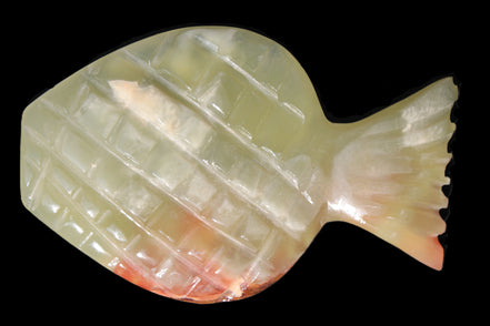 Afghan Jade Fish 135*88mm 208.6g Rocks and Things