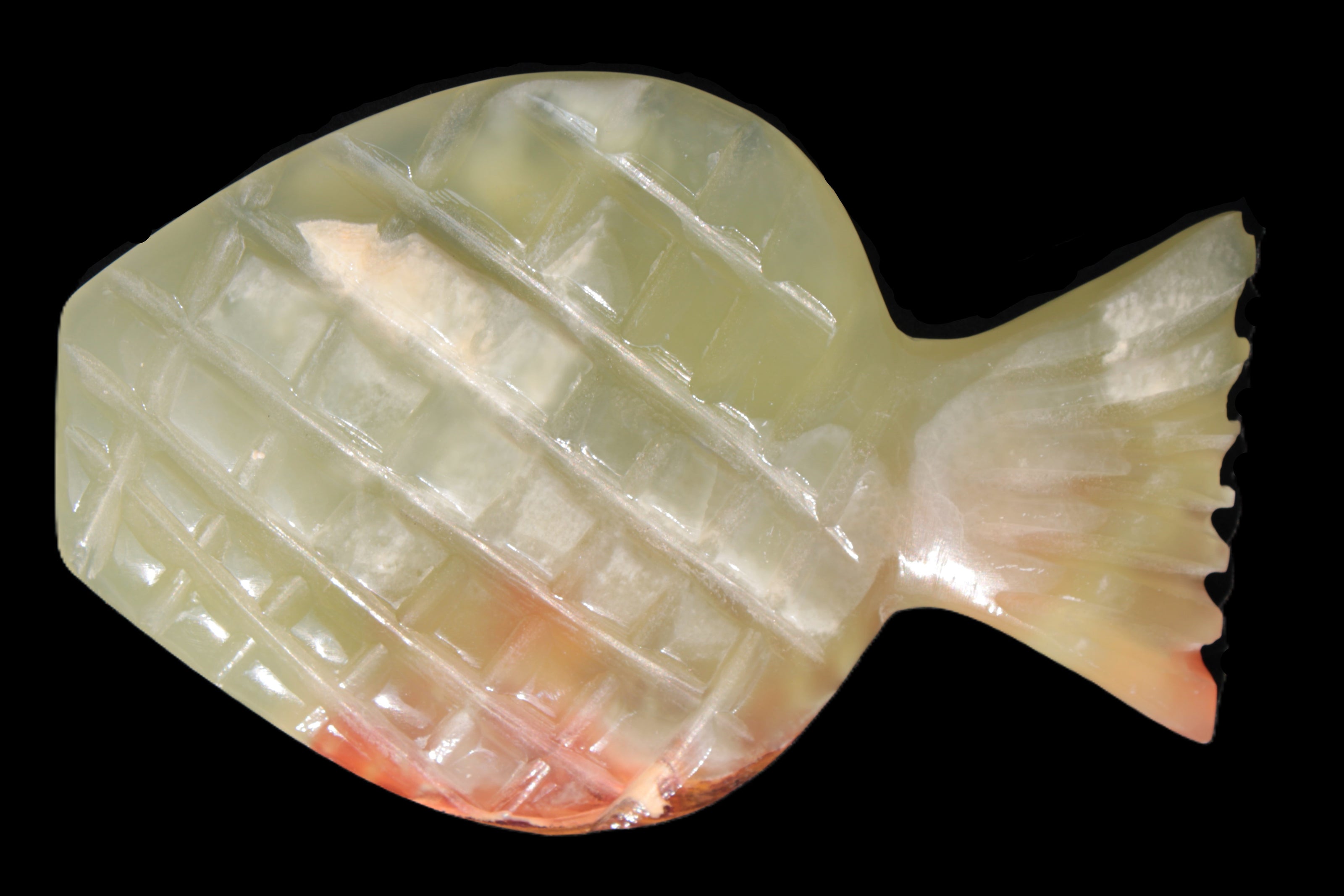Afghan Jade Fish 135*88mm 208.6g Rocks and Things