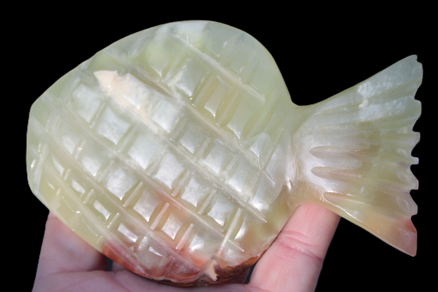 Afghan Jade Fish 135*88mm 208.6g Rocks and Things