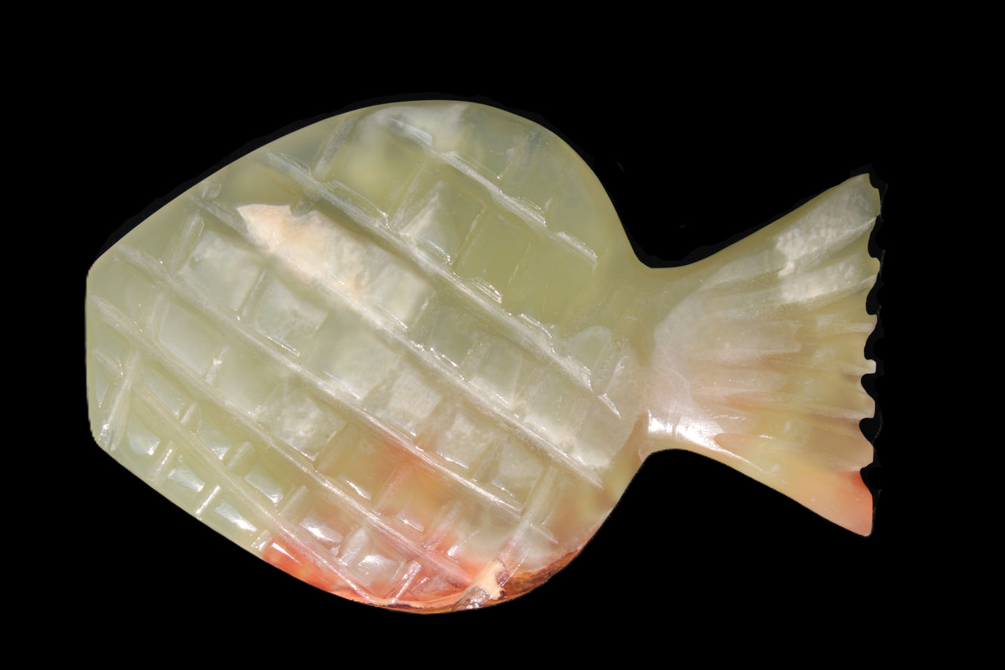 Afghan Jade Fish 135*88mm 208.6g Rocks and Things