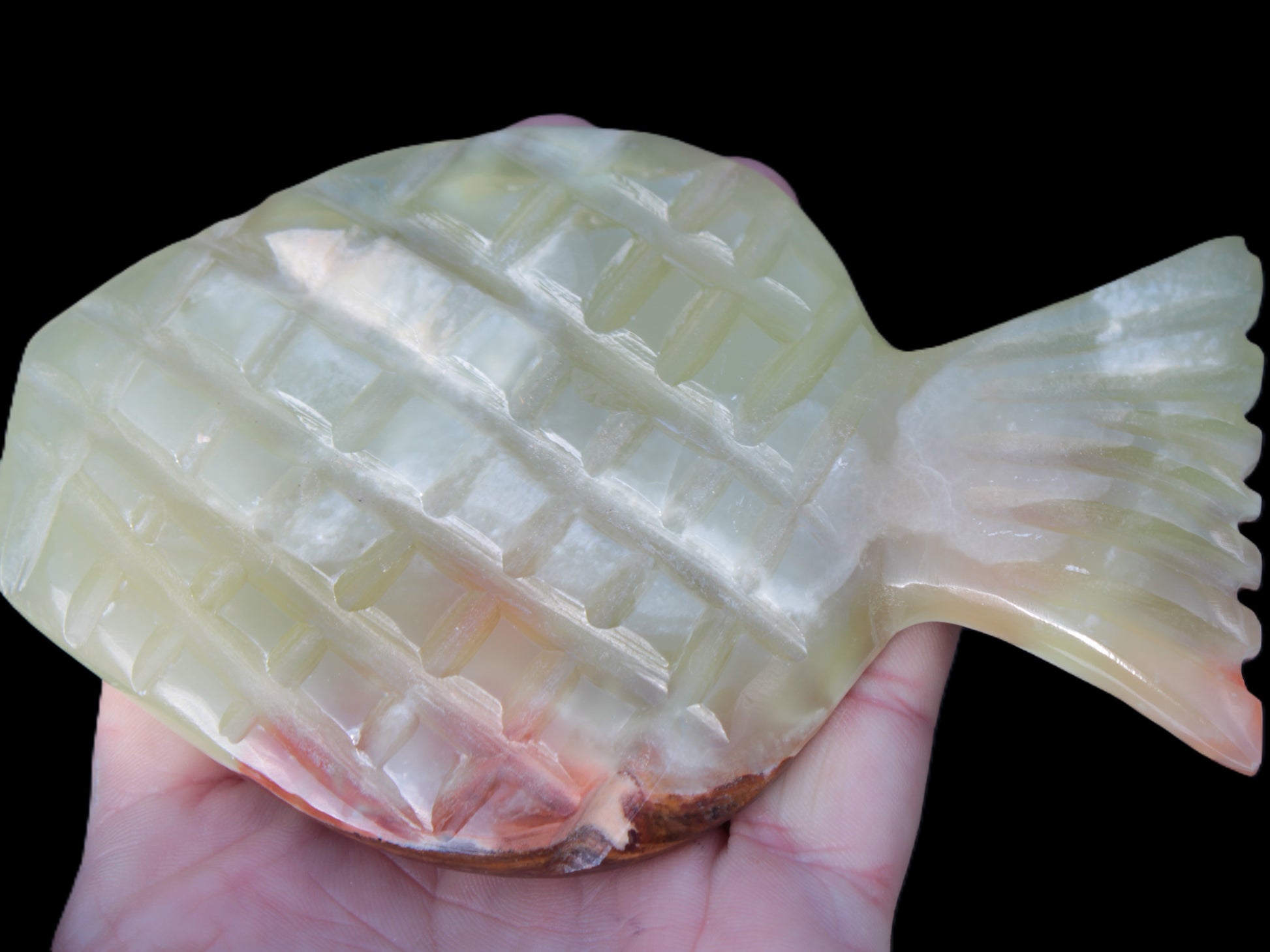 Afghan Jade Fish 135*88mm 208.6g Rocks and Things