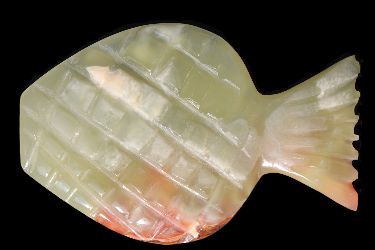 Afghan Jade Fish 135*88mm 208.6g Rocks and Things