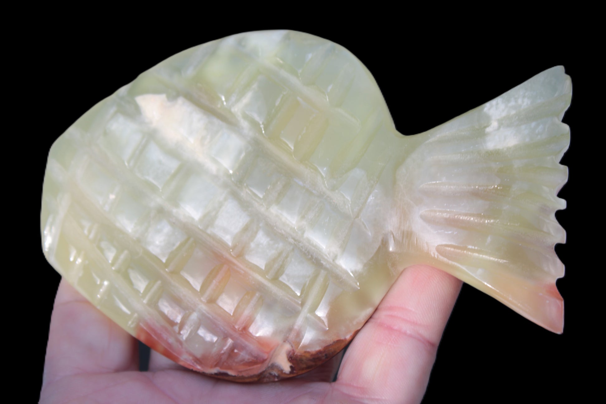 Afghan Jade Fish 135*88mm 208.6g Rocks and Things