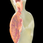 Afghan Jade pineapple 135*88mm 208.6g in sunshine - Rocks and Things Store