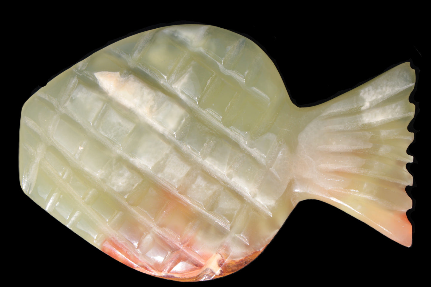 Afghan Jade Fish 135*88mm 208.6g Rocks and Things