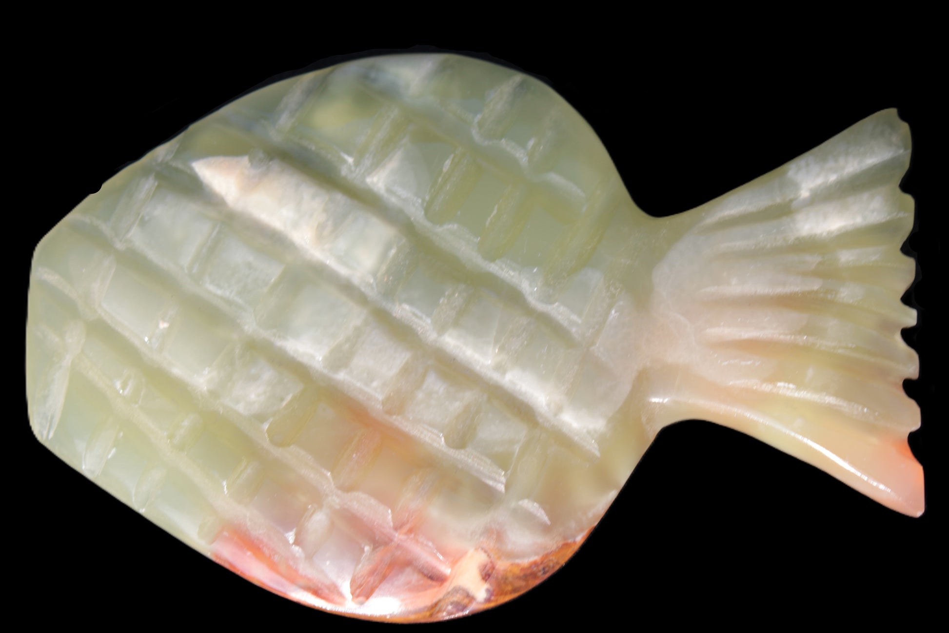 Afghan Jade Fish 135*88mm 208.6g Rocks and Things