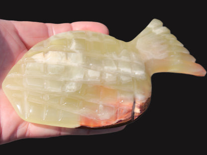 Afghan Jade Fish 135*88mm 208.6g Rocks and Things