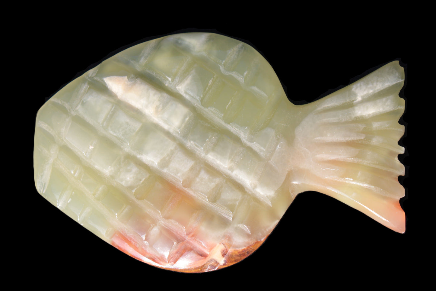 Afghan Jade Fish 135*88mm 208.6g Rocks and Things