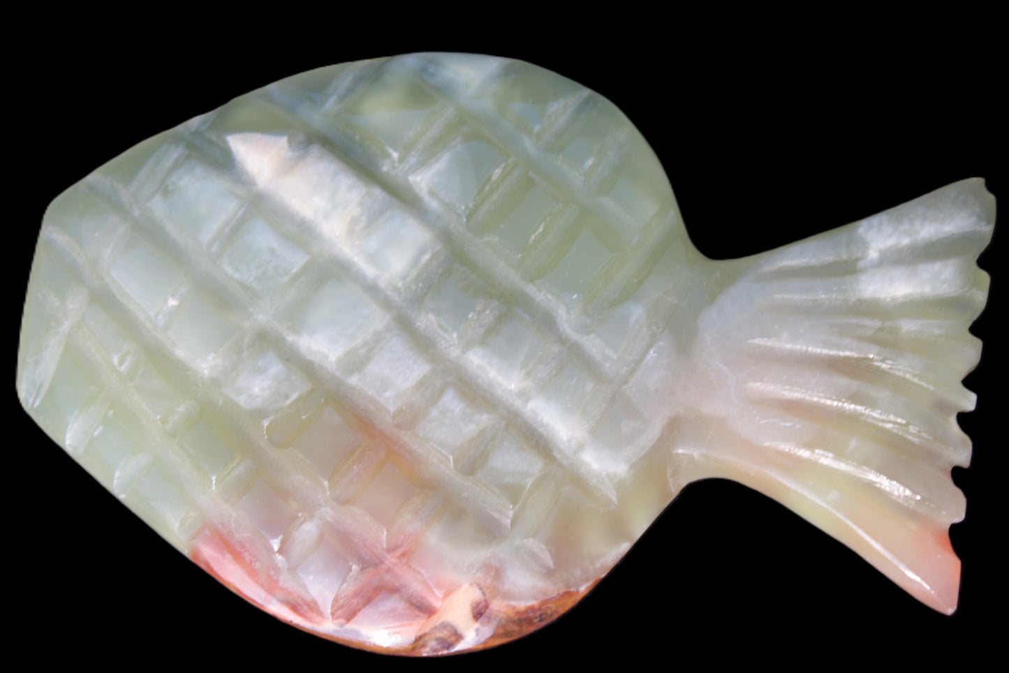 Afghan Jade Fish 135*88mm 208.6g Rocks and Things