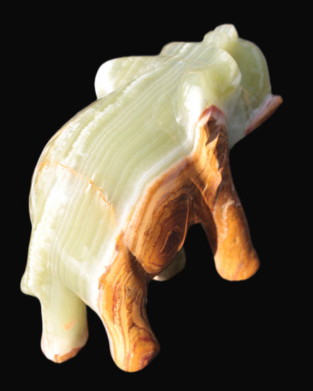 Elephant hand-carved Afghan Jade 152*60*117mm 1120g in sunlight - Rocks and Things Store