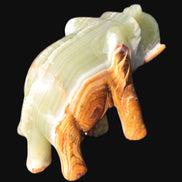 Elephant hand-carved Afghan Jade 152*60*117mm 1120g in sunlight - Rocks and Things Store