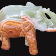 Elephant hand-carved Afghan Jade 152*60*117mm 1120g in sunlight - Rocks and Things Store