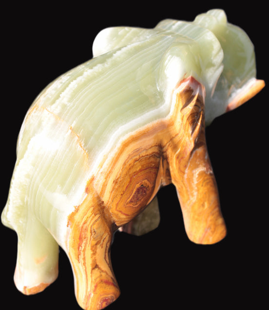Elephant hand-carved Afghan Jade 152*60*117mm 1120g in sunlight - Rocks and Things Store