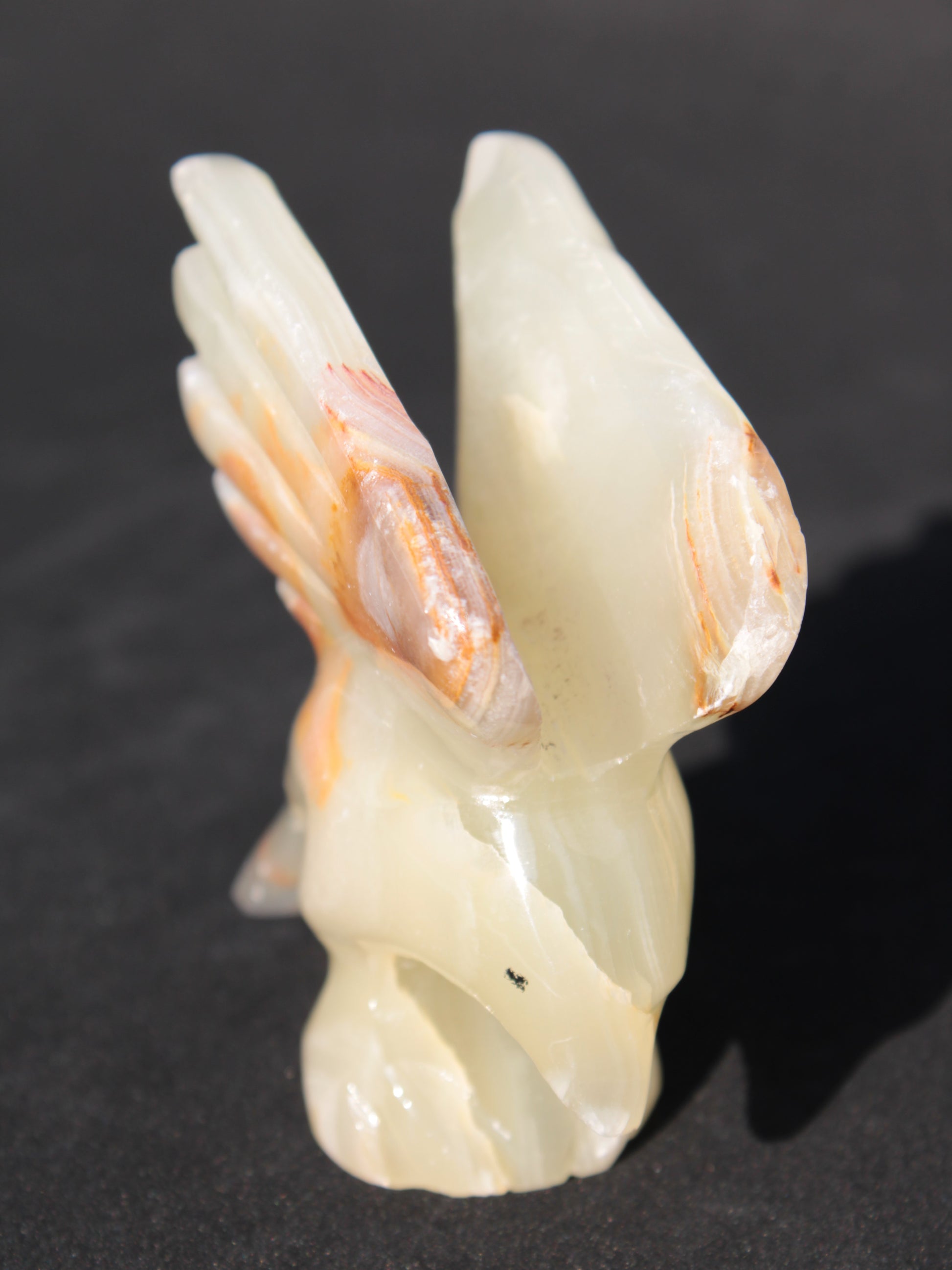 Winged Dolphin hand-carved Afghan Jade 70*36*78mm 182g Rocks and Things