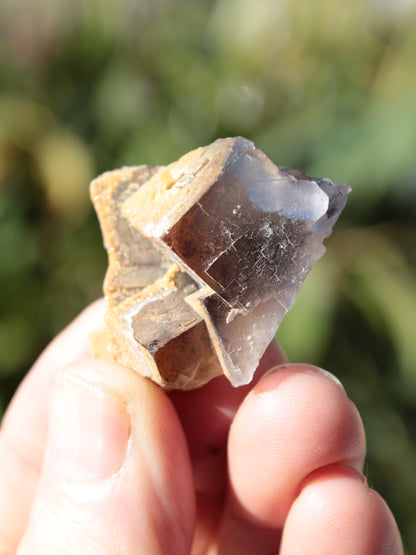 Clear cubic Fluorite cluster from Pakistan 40mm 31.2g Rocks and Things