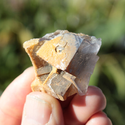 Clear cubic Fluorite cluster from Pakistan 40mm 31.2g Rocks and Things